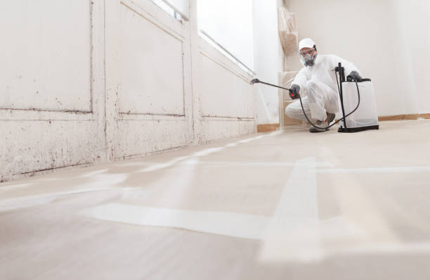 24/7 Emergency Mold Remediation experts in Warrenville, IL