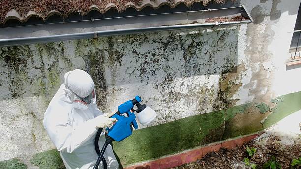 Top rated local Mold Remediation specialists in Warrenville, IL